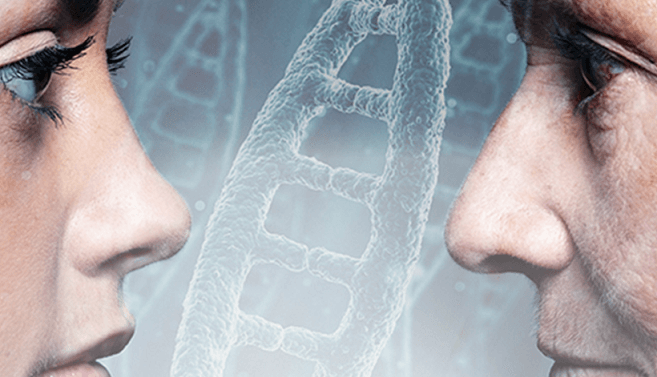 DNA e genealogia: Por que testar seus parentes mais velhos