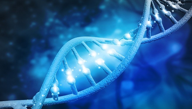 A estrutura do DNA