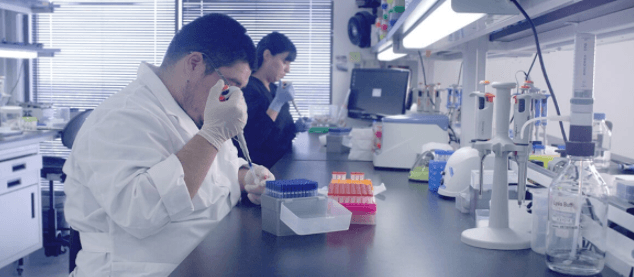 4 mitos comuns a respeito de testes de DNA