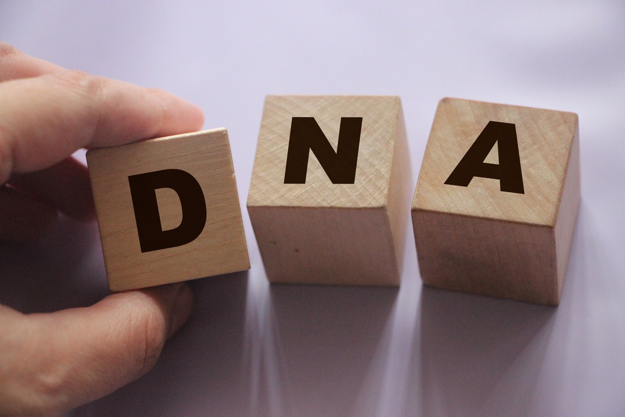 Glossário de genealogia: termos comuns de DNA explicados