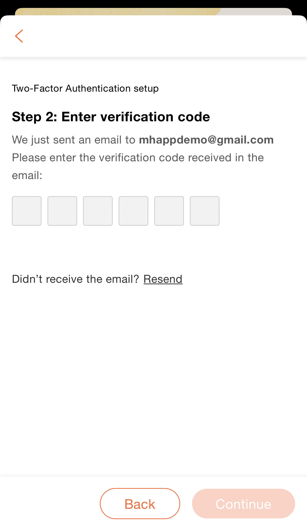 Entering the verification code sent via email